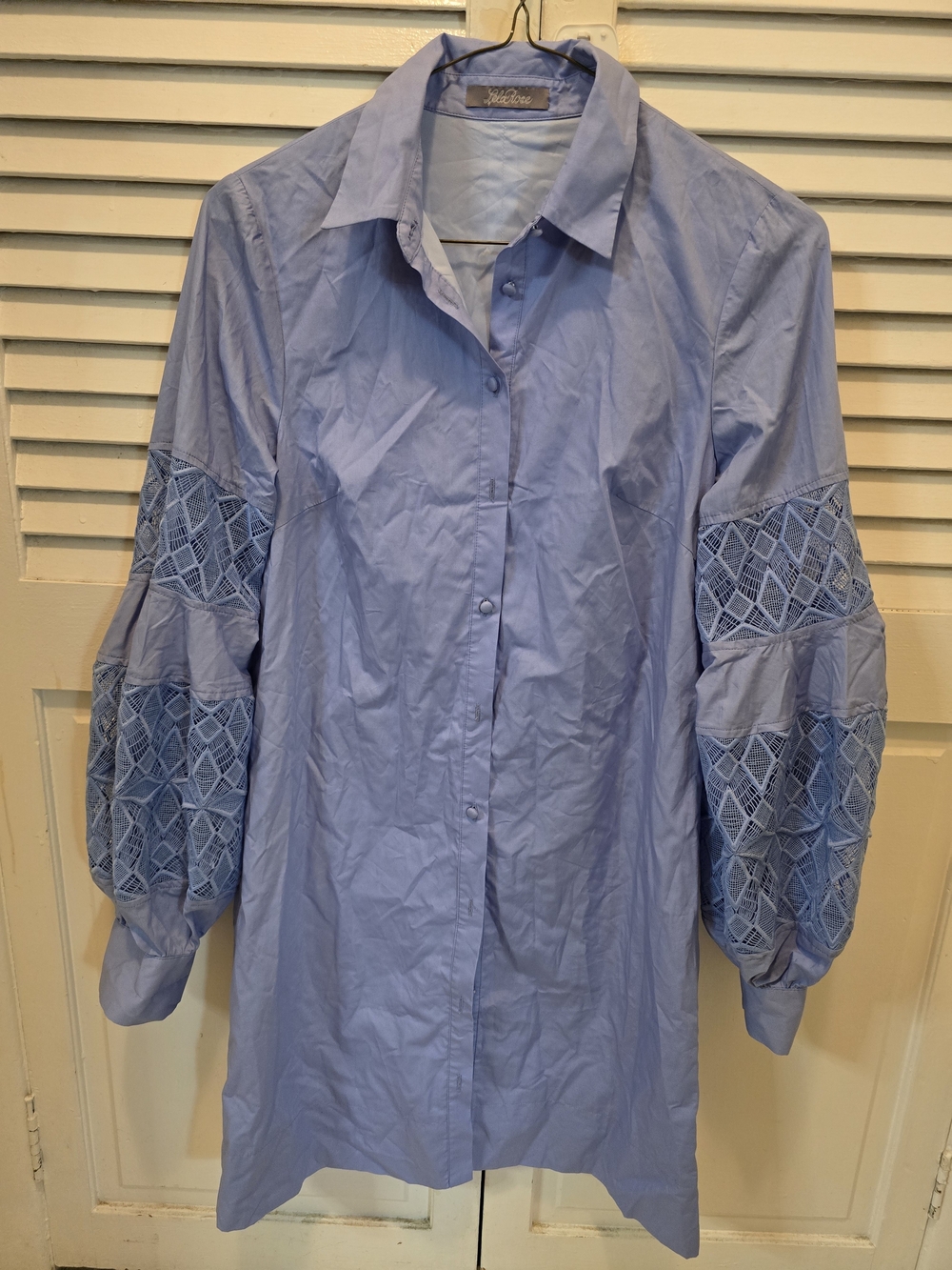 Light Blue Button-Down Shirt Dress with Embroidered Balloon Sleeves
